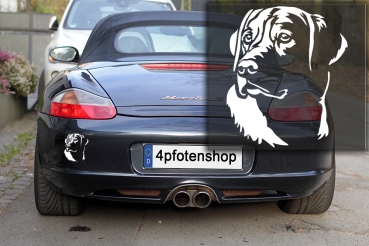 Preview: Autoaufkleber "Labrador" Kopf