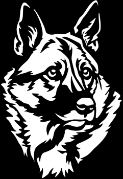 Aufkleber Norwegischer Lundehund Kopf