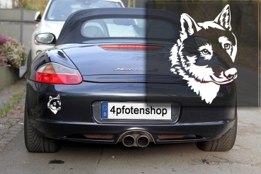 Preview: Autoaufkleber "Shikoku" Kopf