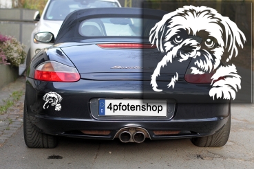 Preview: Autoaufkleber "Shih-Tzu" Kontur
