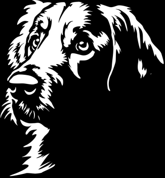 Aufkleber Golden Retriever Kopf