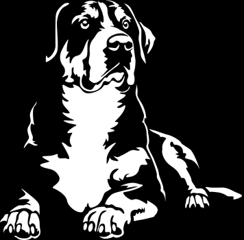 Aufkleber Großer Schweizer Sennenhund