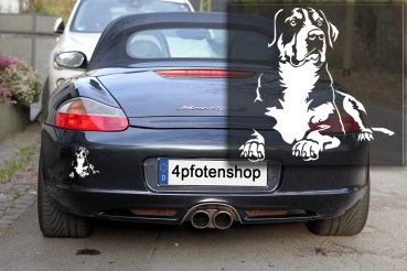 Preview: Autoaufkleber "Großer Schweizer Sennenhund" Kontur