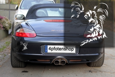 Preview: Autoaufkleber "Papillon" Kopf
