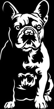 Aufkleber Französische Bulldogge