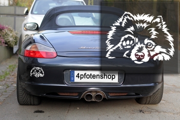 Autoaufkleber "Zwergspitz" (Pomeranian) Kontur