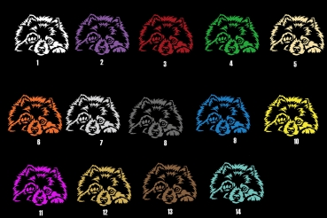 Autoaufkleber "Zwergspitz" (Pomeranian) Kontur