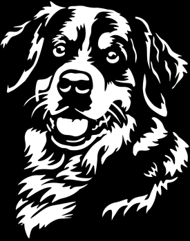 Aufkleber Berner Sennenhund Kopf