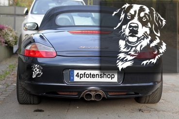 Preview: Autoaufkleber "Berner Sennenhund" Kopf
