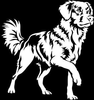 Aufkleber Duck Tolling Retriever