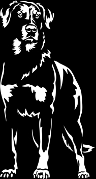 Aufkleber Beauceron