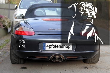 Preview: Autoaufkleber "Rhodesian Ridgeback" Kopf