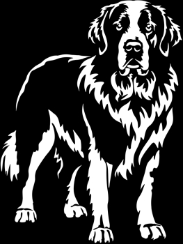 Aufkleber Landseer