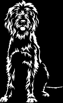 Aufkleber Pudelpointer