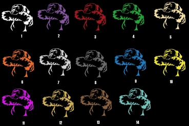Autoaufkleber "Magyar Vizsla" Kopf mit Dummy