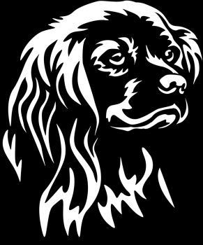 Autoaufkleber "American Cocker Spaniel" Kopf