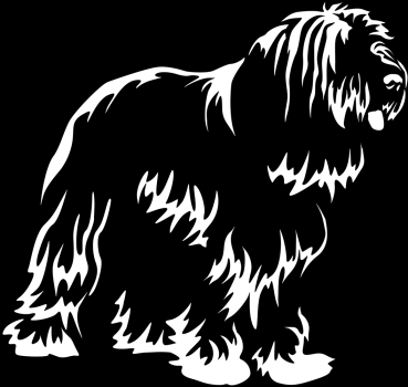 Autoaufkleber "Bearded Collie" Kontur