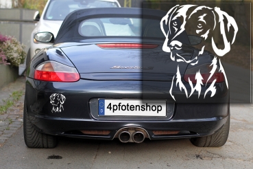 Autoaufkleber "Weimaraner" Kopf