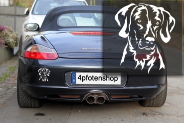 Autoaufkleber "Weimaraner" Kopf