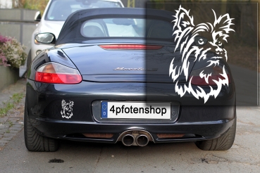 Autoaufkleber "Yorkshire Terrier" Kopf