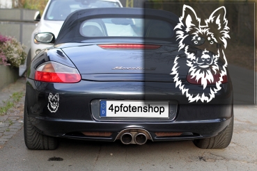 Autoaufkleber "Gelbbacke (Altdeutscher Hütehund)" Kopf