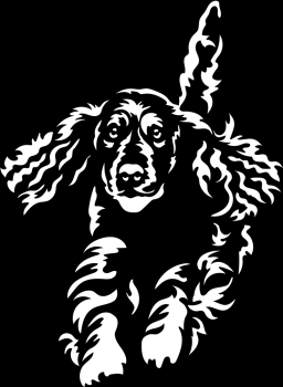 Autoaufkleber "Englischer Cocker Spaniel" Kontur