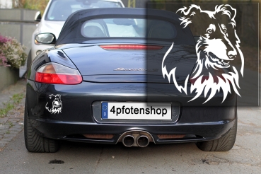 Autoaufkleber "Collie" Kopf