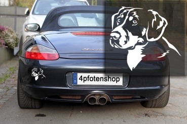 Autoaufkleber "Entlebucher" Kopf