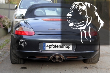 Autoaufkleber "Presa Canario" Kopf