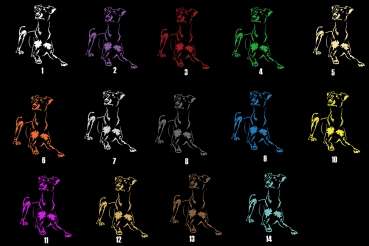 Autoaufkleber "Deutscher Pinscher" Kontur