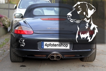 Autoaufkleber "Dobermann" Kopf