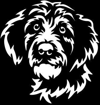 Aufkleber Aussiepoo Kopf