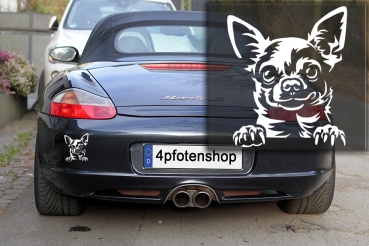 Autoaufkleber "Chihuahua" Kopf