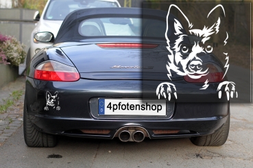 Autoaufkleber "Schipperke" Kopf