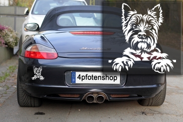 Autoaufkleber "Cairn Terrier" Kopf