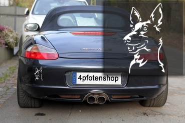 Autoaufkleber "Podenco" Kopf