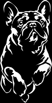 Autoaufkleber "Französische Bulldogge" Kontur