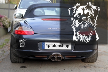 Autoaufkleber "Brüsseler Griffon" Kopf