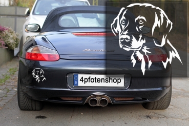 Autoaufkleber "Plott Hound" Kopf