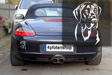 Autoaufkleber "Dogge" Kopf