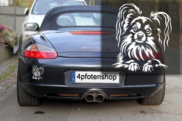 Autoaufkleber "Papillon" Kopf