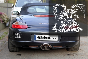 Autoaufkleber "Brüsseler Griffon" Kopf