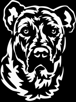 Aufkleber Collie Kopf
