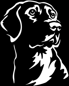 Autoaufkleber Labrador Kopf