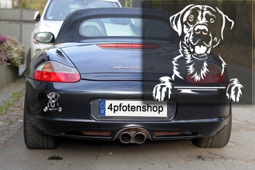 Autoaufkleber "Labrador" Kopf