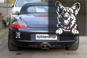 Autoaufkleber "Welsh Corgi" Kopf