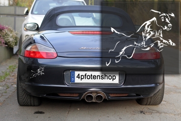 Autoaufkleber "Deutsch Kurzhaar" Kontur