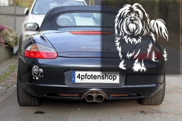 Autoaufkleber "Havaneser" Kontur