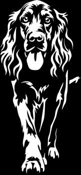 Aufkleber Irish Setter