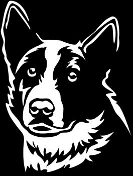Aufkleber Karelischer Bärenhund Kopf